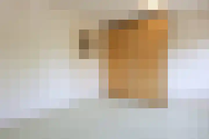Ranonkelstraat 30 Eindhoven thumbnail 27