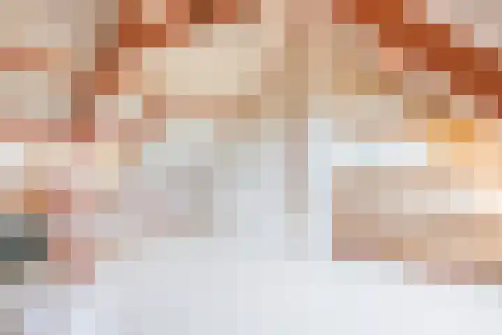 Ranonkelstraat 30 Eindhoven thumbnail 33