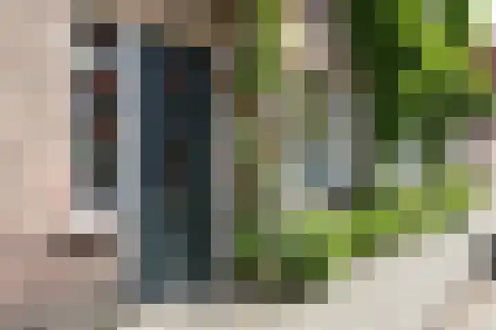 Ranonkelstraat 30 Eindhoven thumbnail 4