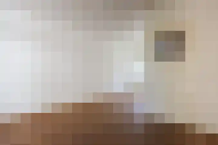 Ranonkelstraat 30 Eindhoven thumbnail 9