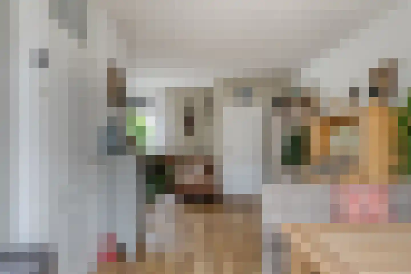 Ranonkelstraat 30 Heteren thumbnail 14