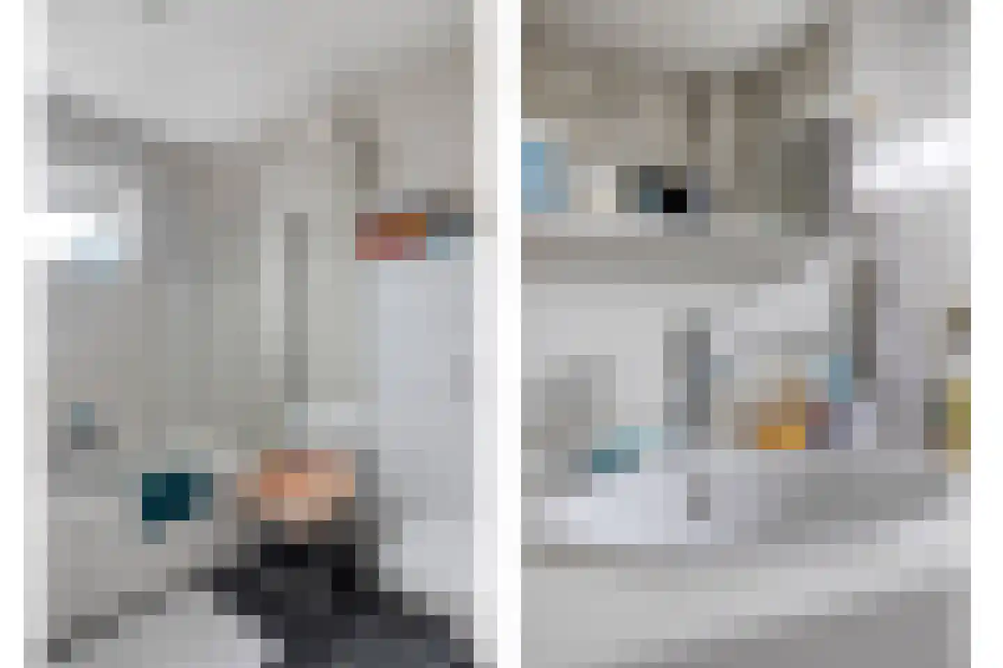 Ranonkelstraat 30 Heteren thumbnail 24
