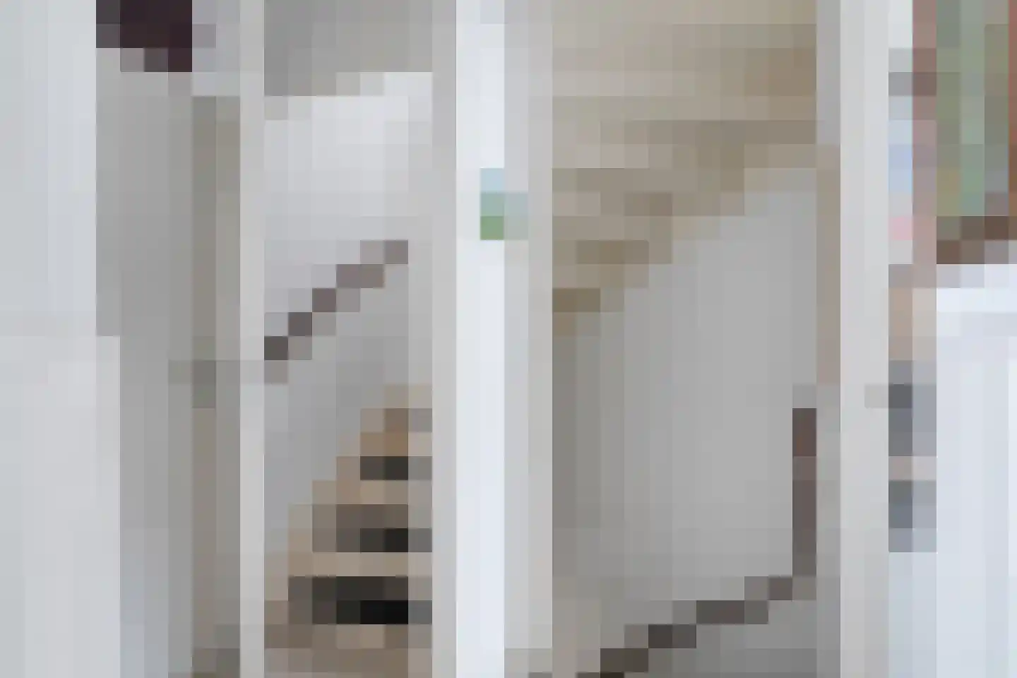 Ranonkelstraat 30 Heteren thumbnail 25