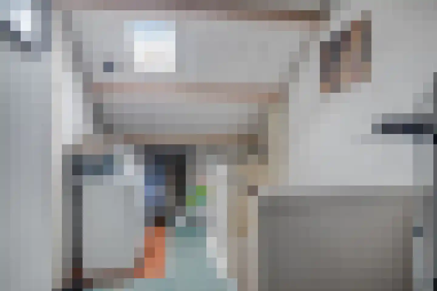 Ranonkelstraat 30 Heteren thumbnail 27