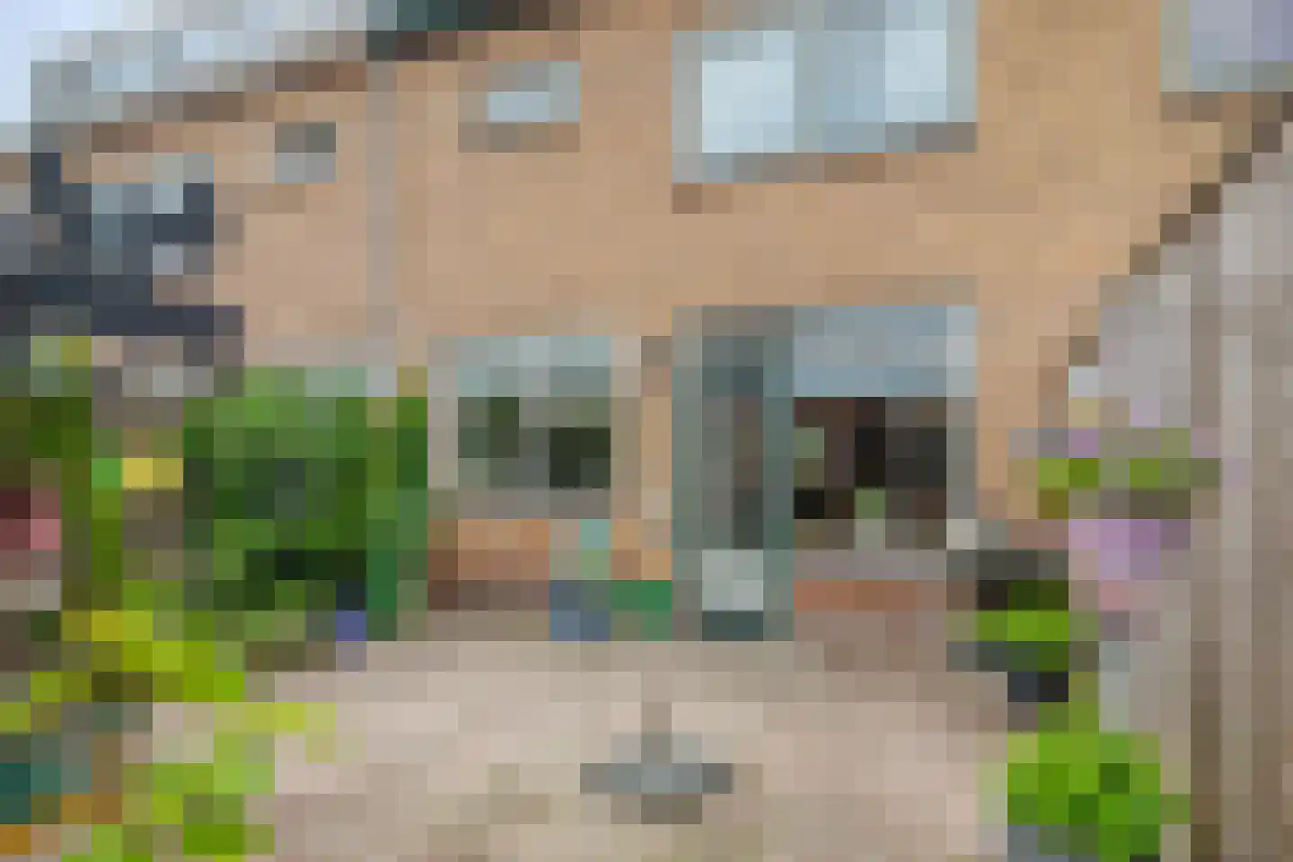 Ranonkelstraat 30 Heteren thumbnail 30