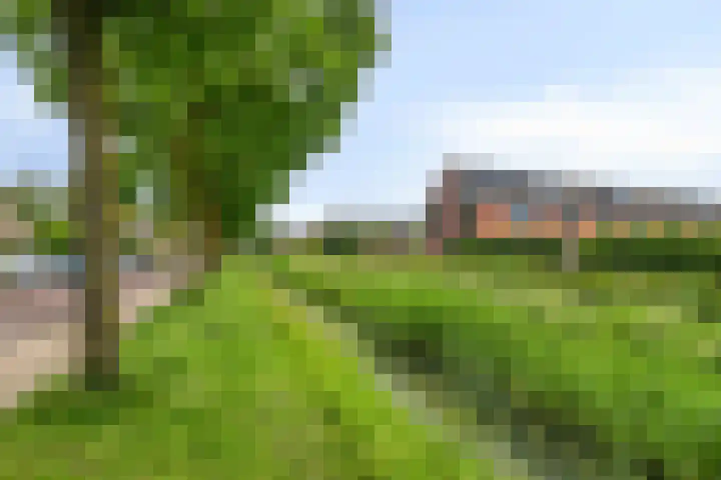 Ranonkelstraat 30 Heteren thumbnail 34