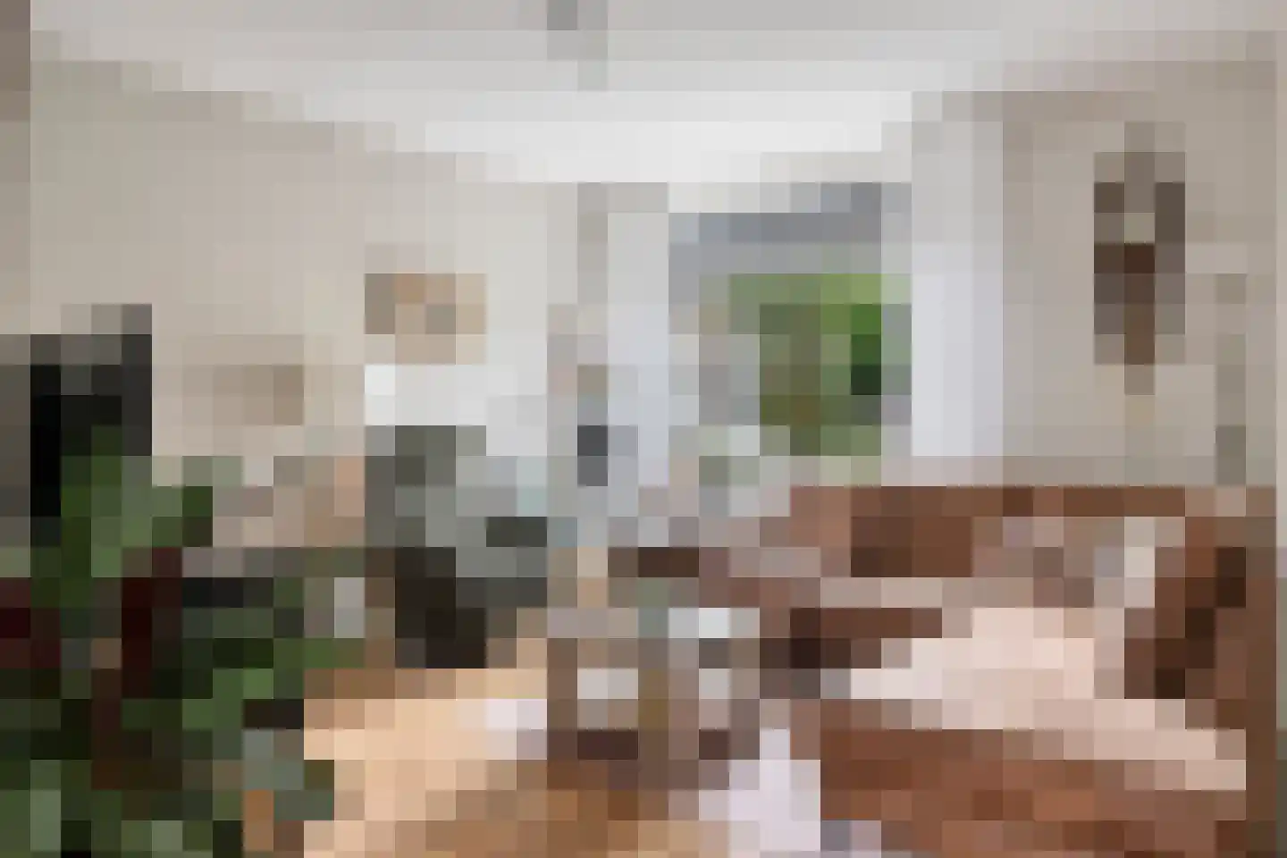 Ranonkelstraat 30 Heteren thumbnail 9