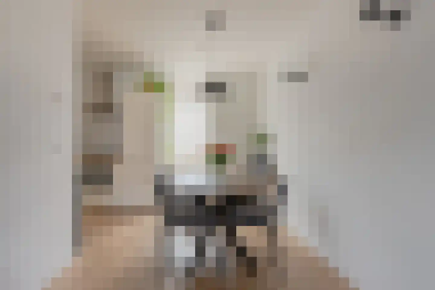 Ranonkelstraat 37 E Rotterdam thumbnail 11