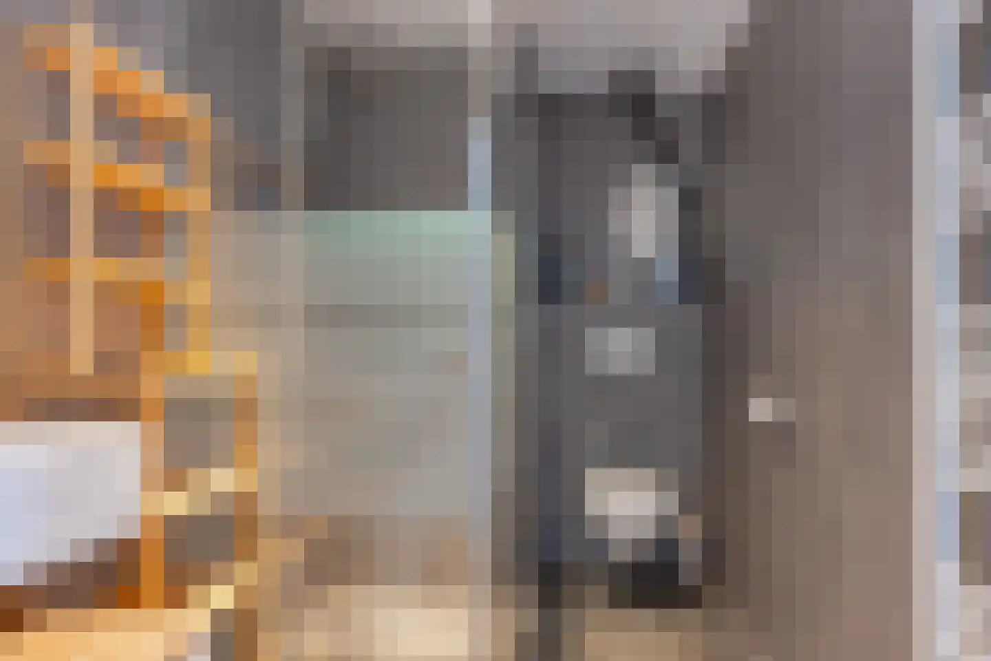 Ranonkelstraat 37 E Rotterdam thumbnail 21