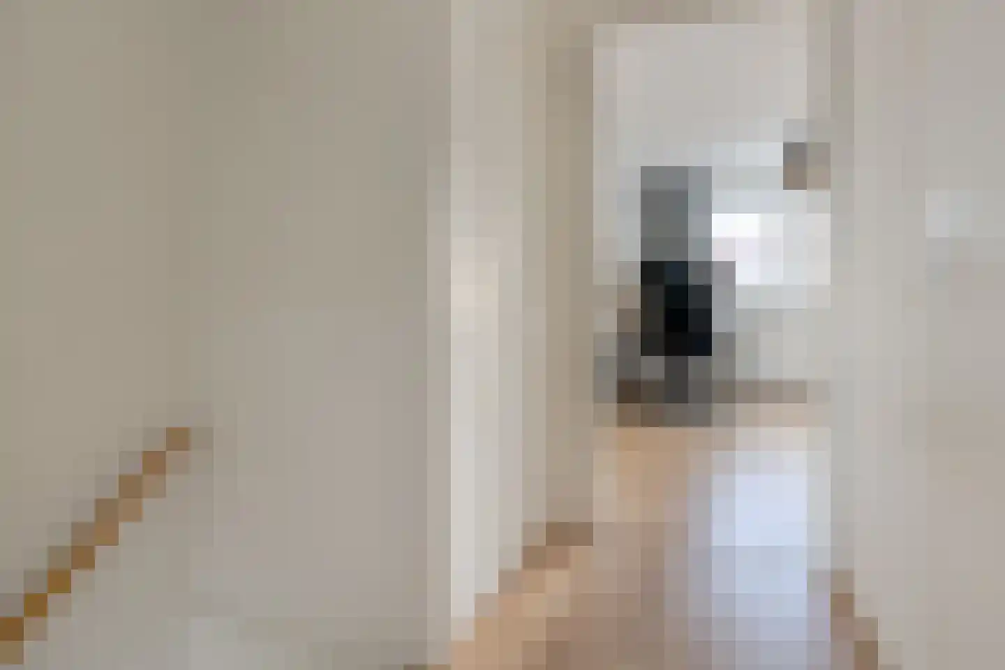 Ranonkelstraat 37 E Rotterdam thumbnail 24