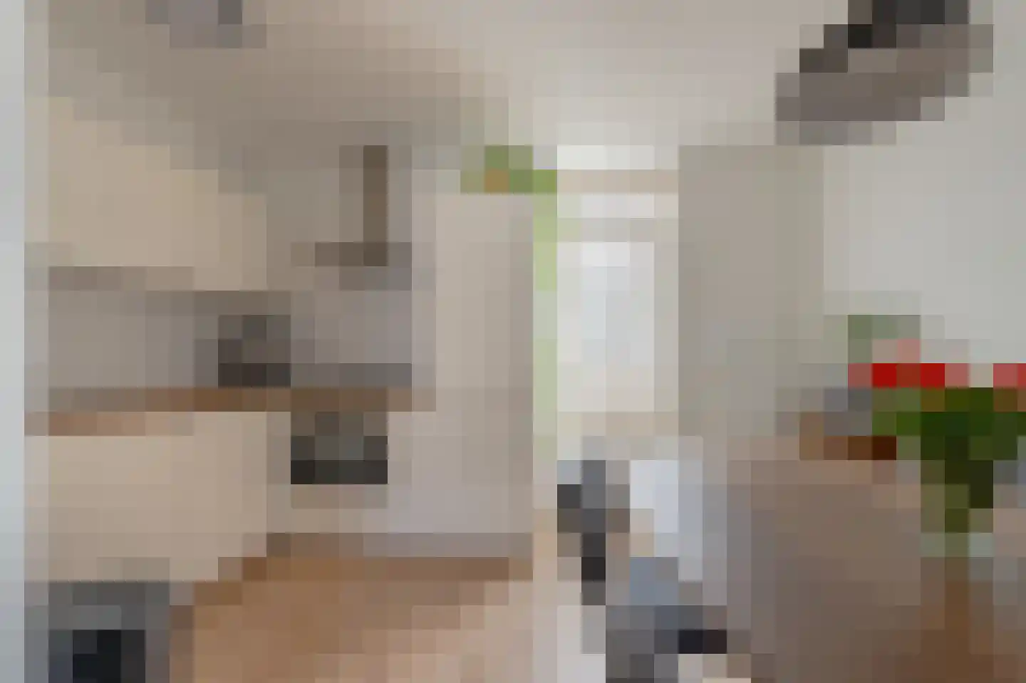 Ranonkelstraat 37 E Rotterdam thumbnail 5