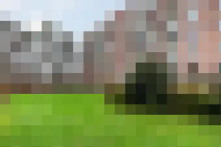 Ranonkelstraat 383 in Den Haag