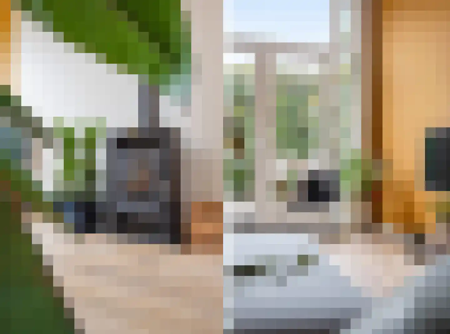 Ranonkelstraat 4 A Breda thumbnail 10
