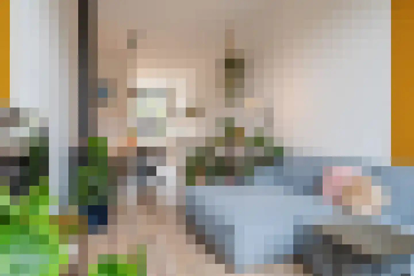 Ranonkelstraat 4 A Breda thumbnail 11