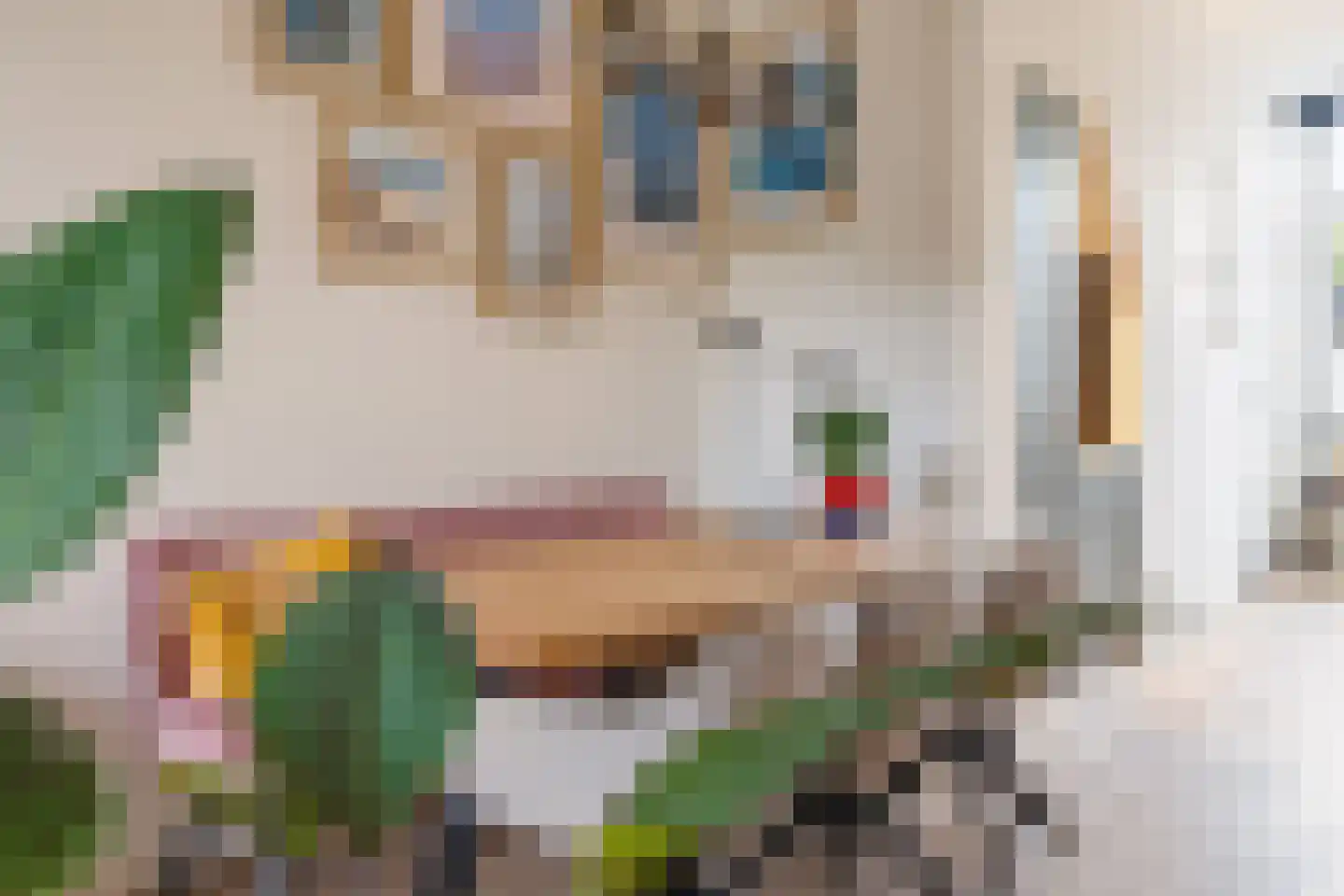 Ranonkelstraat 4 A Breda thumbnail 18
