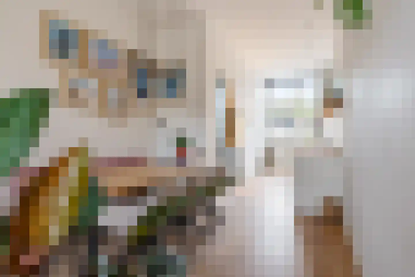 Ranonkelstraat 4 A Breda thumbnail 19