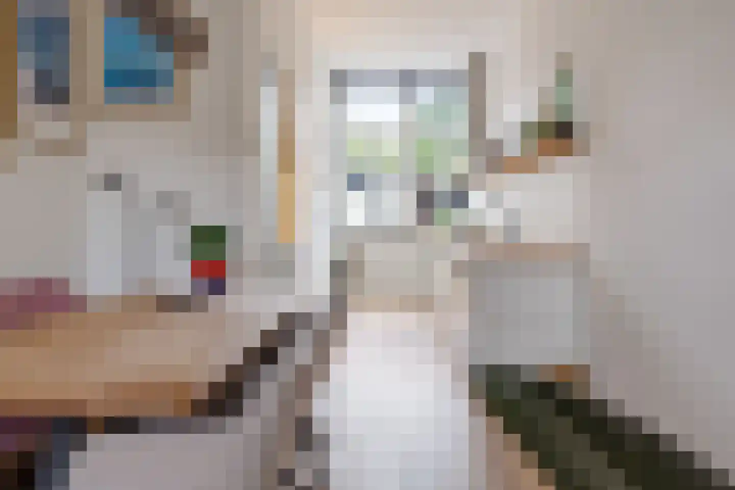 Ranonkelstraat 4 A Breda thumbnail 20