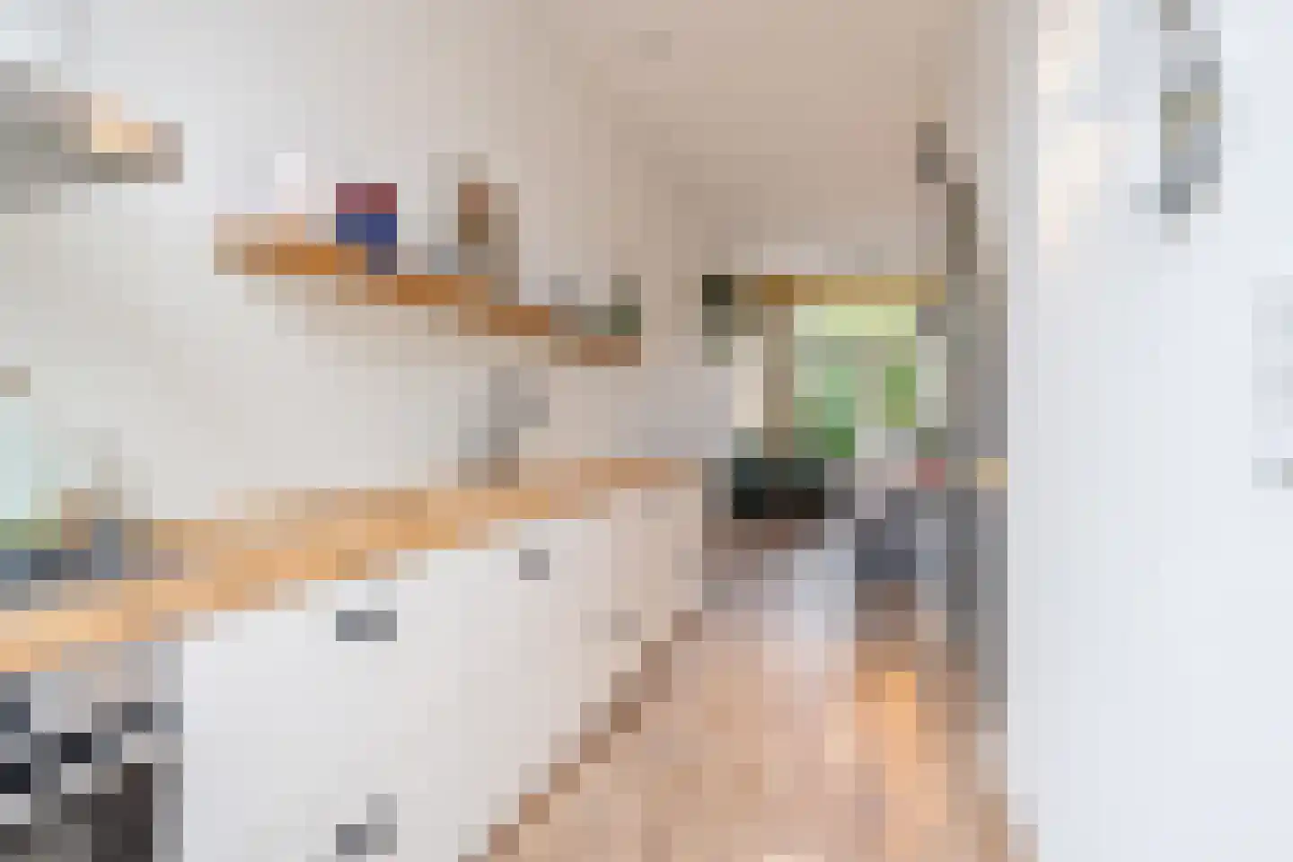 Ranonkelstraat 4 A Breda thumbnail 22