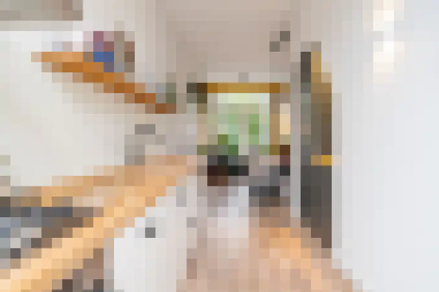 Ranonkelstraat 4 A Breda thumbnail 24