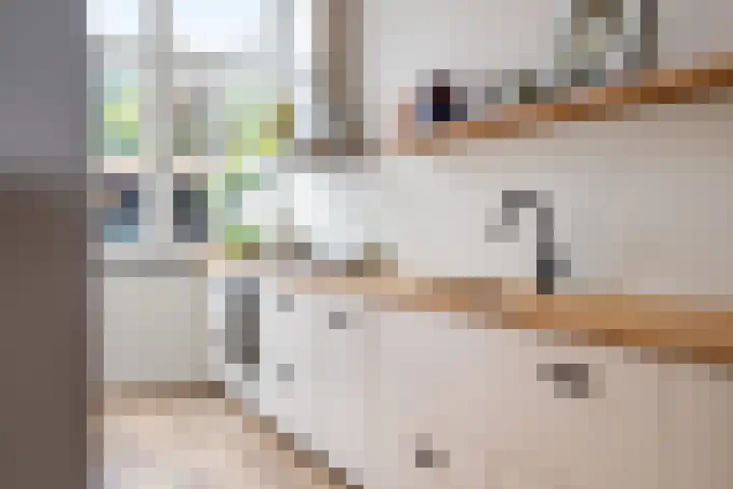 Ranonkelstraat 4 A Breda thumbnail 25