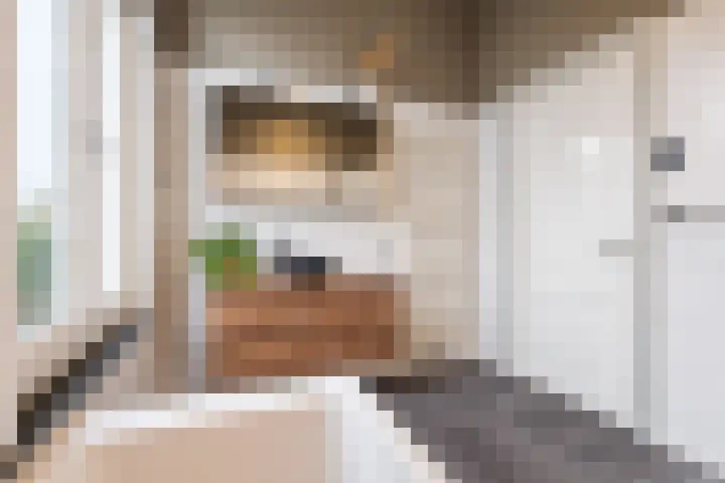 Ranonkelstraat 4 A Breda thumbnail 29