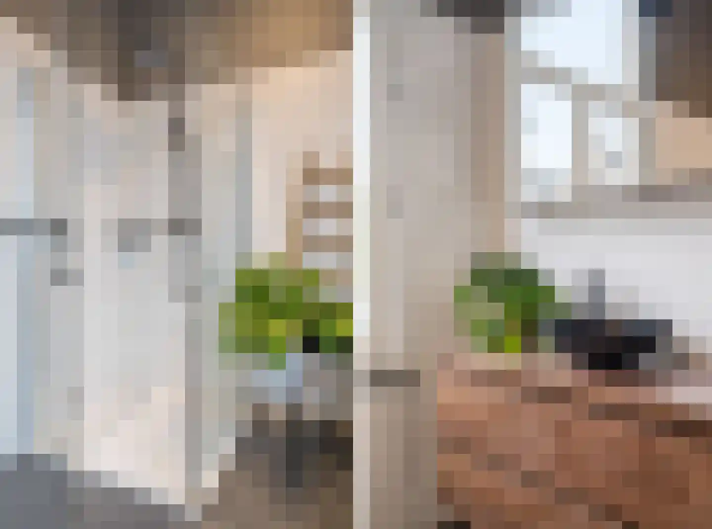 Ranonkelstraat 4 A Breda thumbnail 30