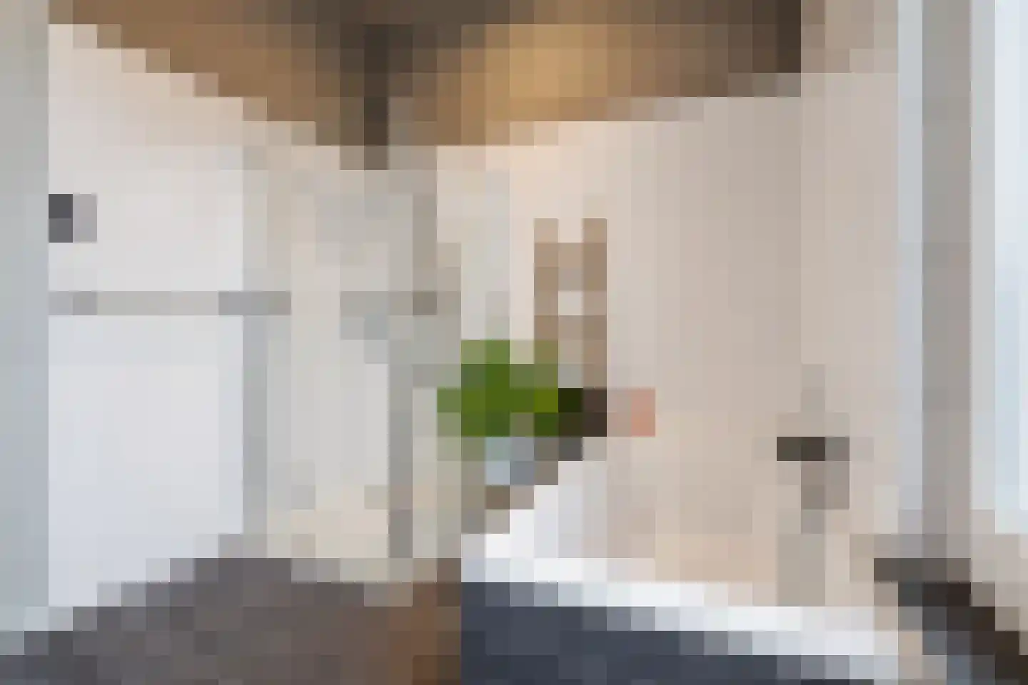 Ranonkelstraat 4 A Breda thumbnail 31
