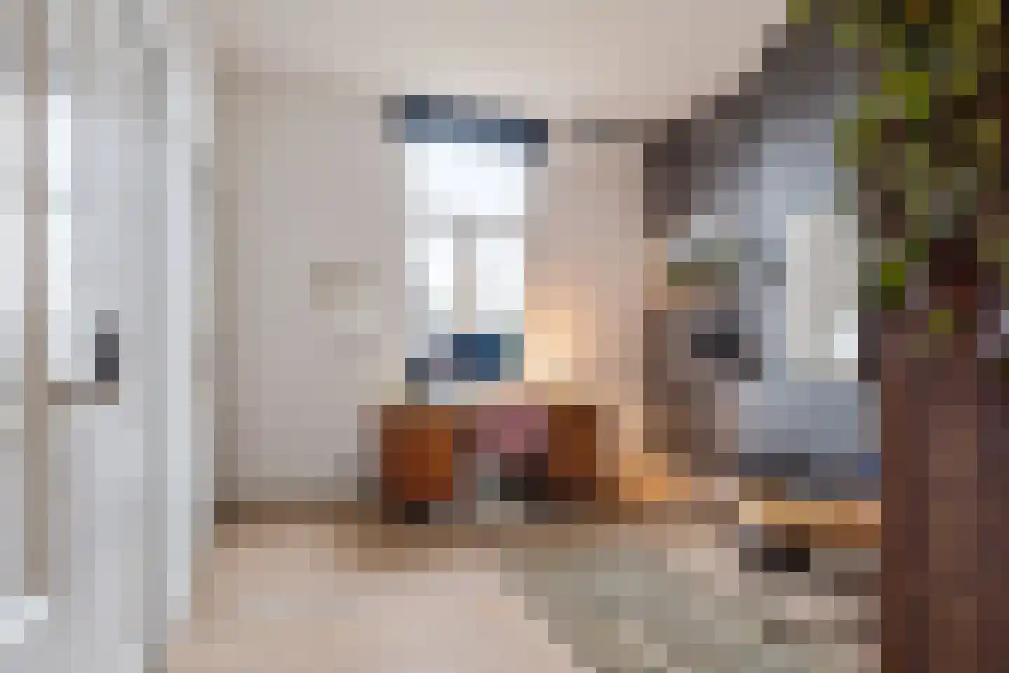 Ranonkelstraat 4 A Breda thumbnail 32