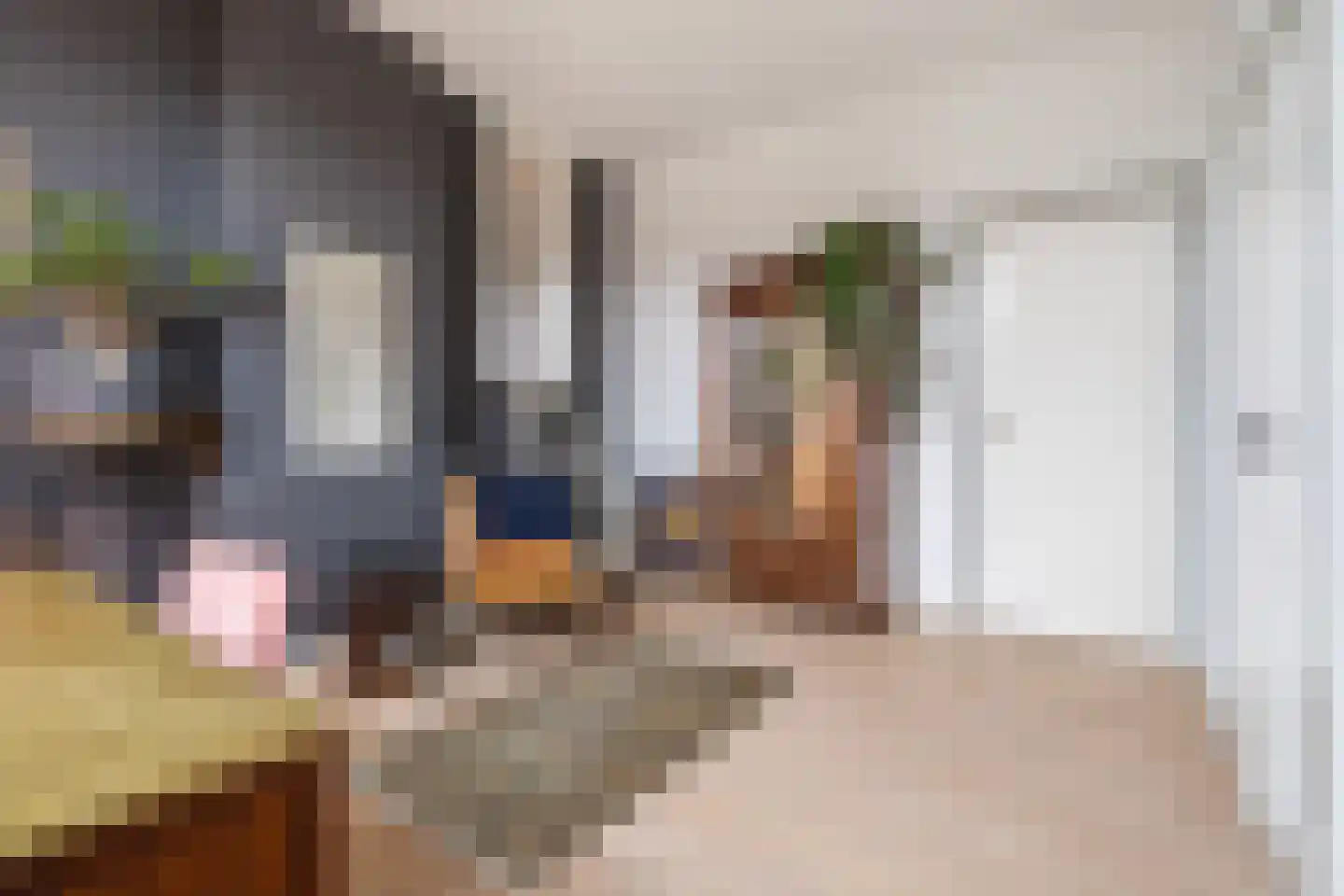 Ranonkelstraat 4 A Breda thumbnail 34