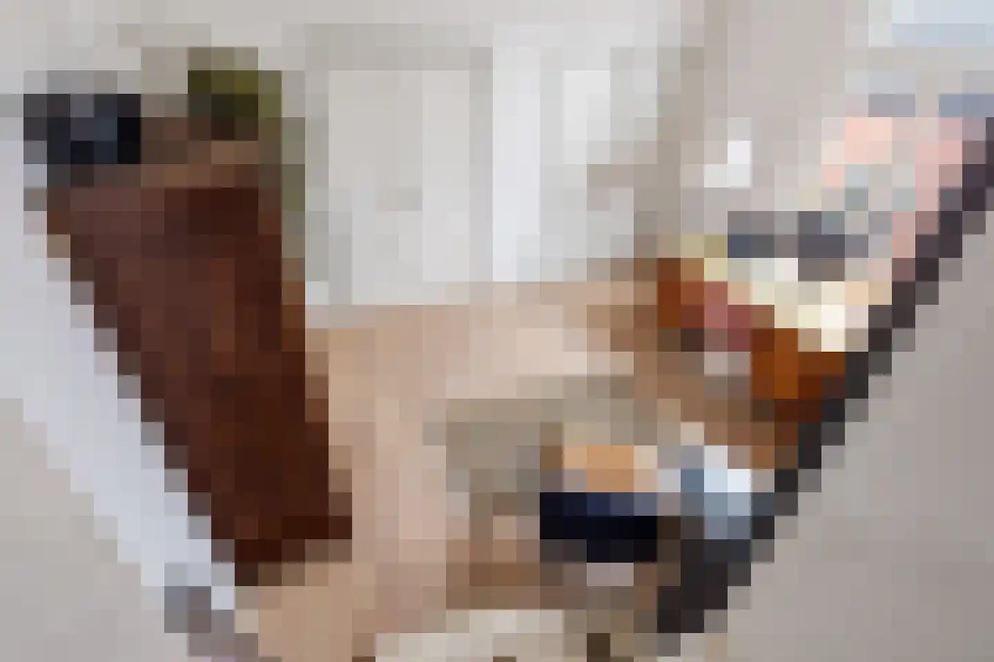 Ranonkelstraat 4 A Breda thumbnail 35