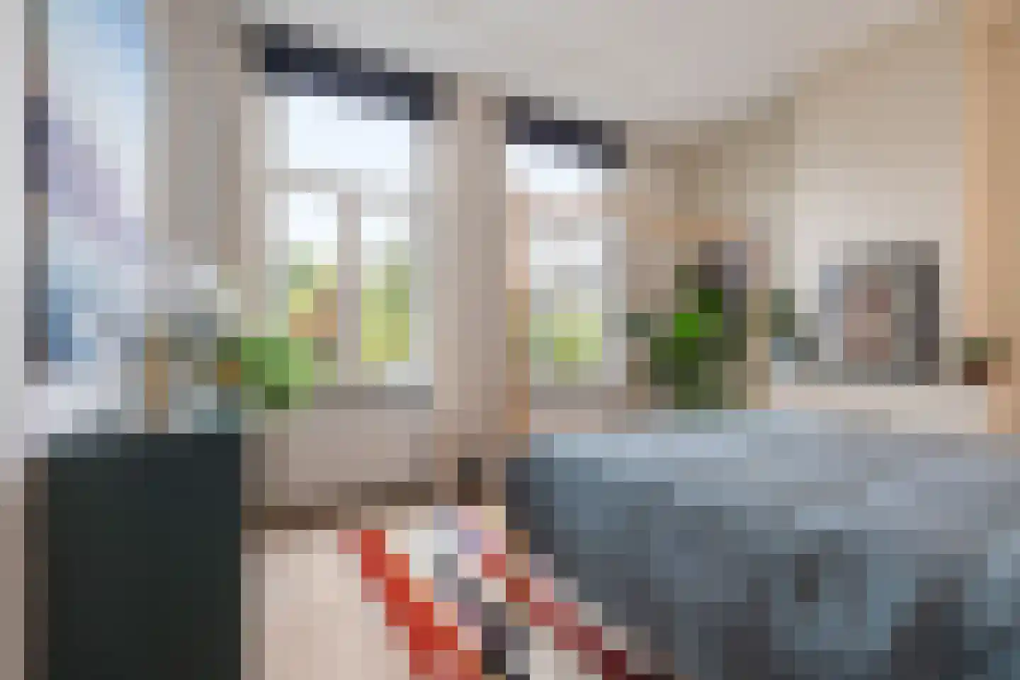 Ranonkelstraat 4 A Breda thumbnail 38