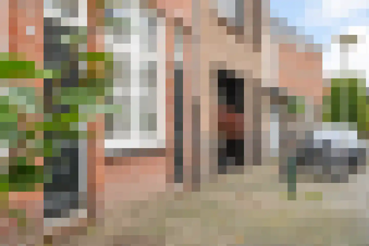 Ranonkelstraat 4 A Breda thumbnail 51