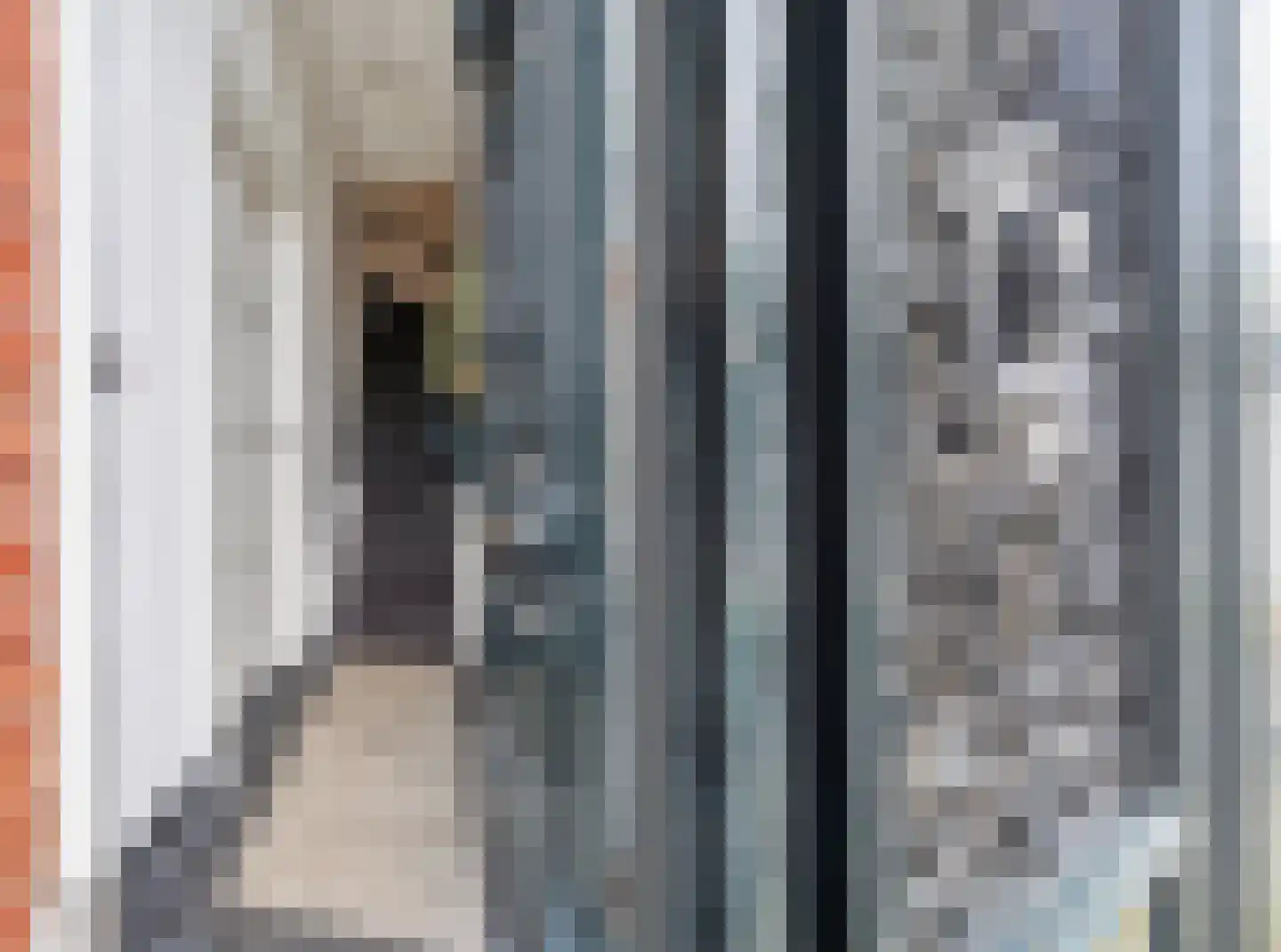 Ranonkelstraat 4 A Breda thumbnail 8
