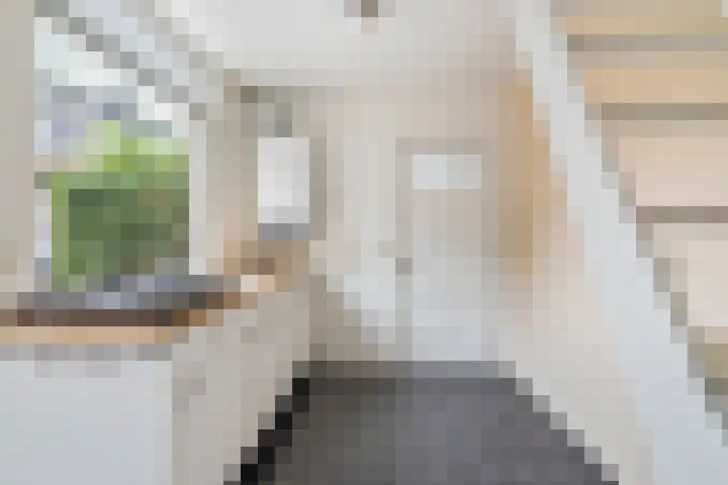 Ranonkelstraat 4 Breda thumbnail 14