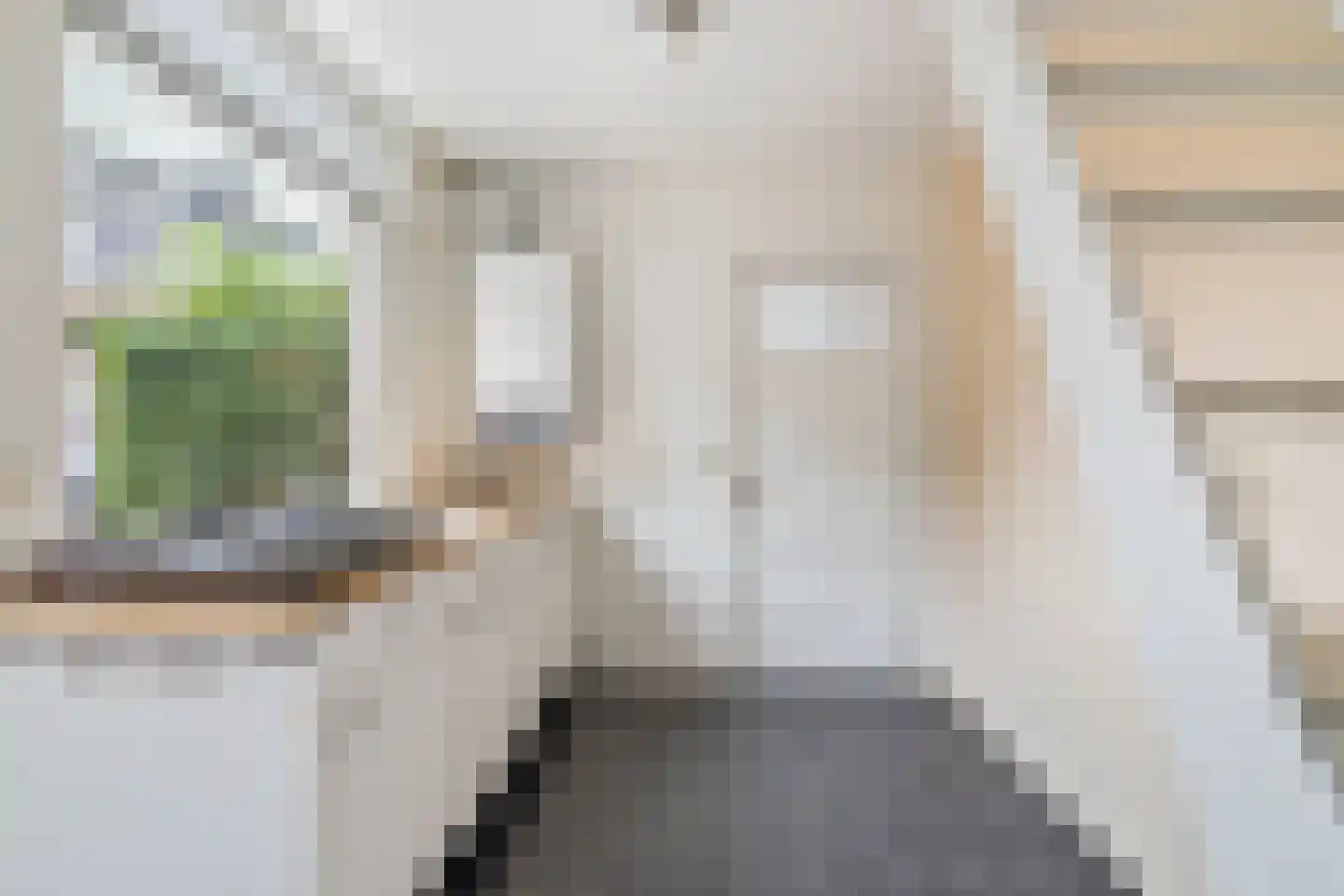 Ranonkelstraat 4 Breda thumbnail 14