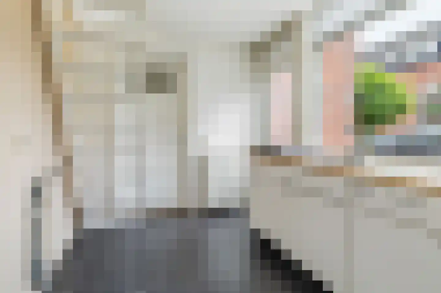 Ranonkelstraat 4 Breda thumbnail 15