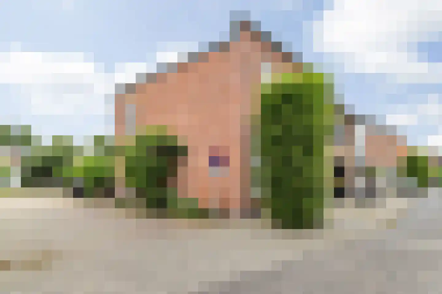 Ranonkelstraat 4 Breda thumbnail 6