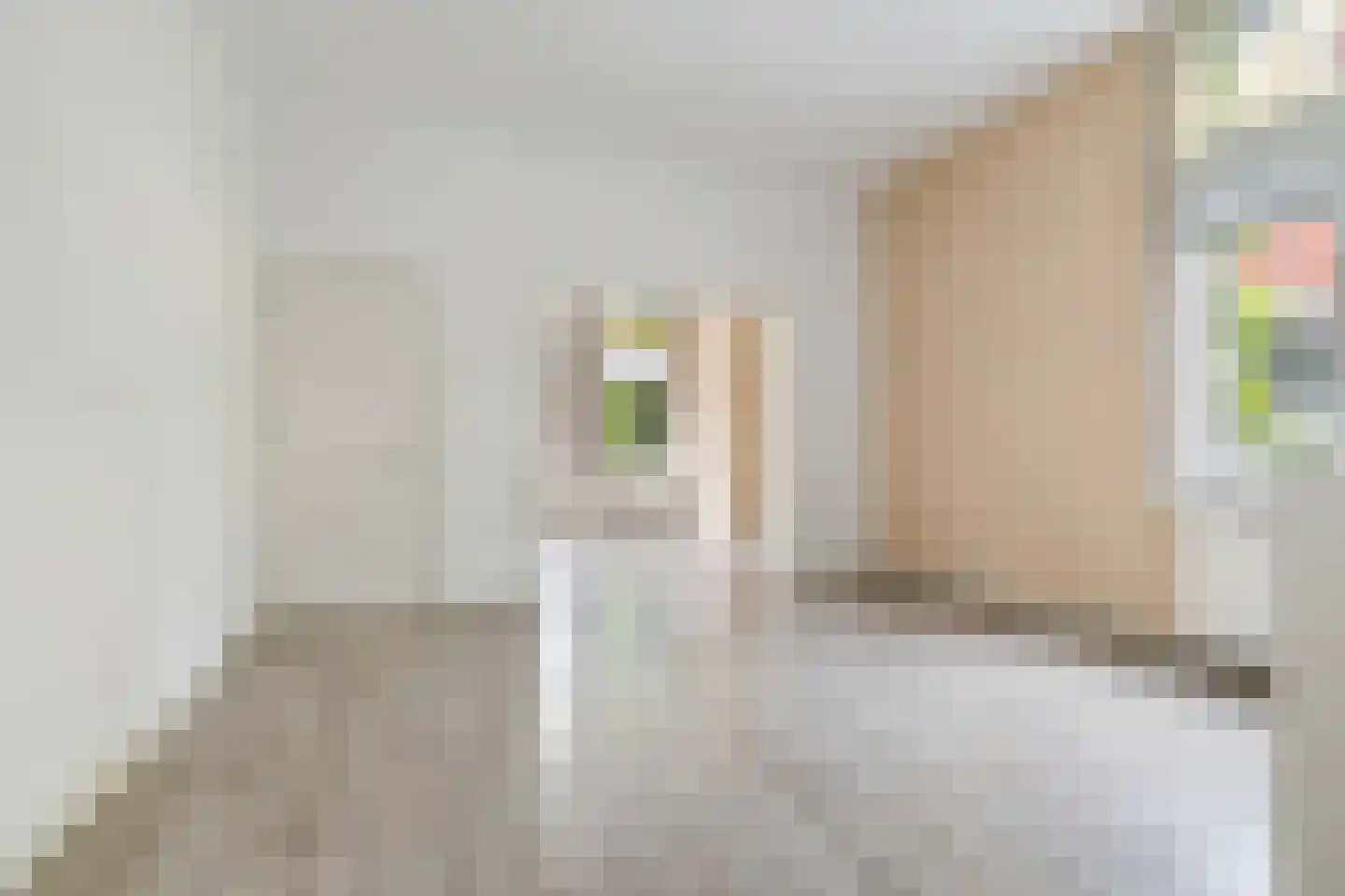 Ranonkelstraat 4 Breda thumbnail 9