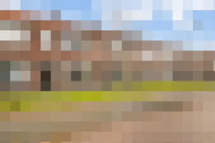 Ranonkelstraat 41 Arnhem thumbnail 39