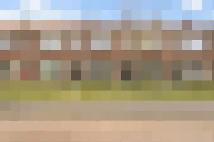 Ranonkelstraat 41 Arnhem thumbnail 40