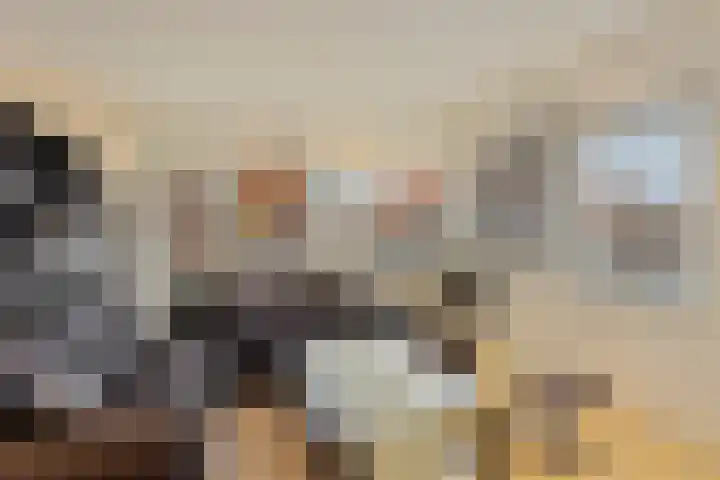 Ranonkelstraat 41 Eindhoven thumbnail 11