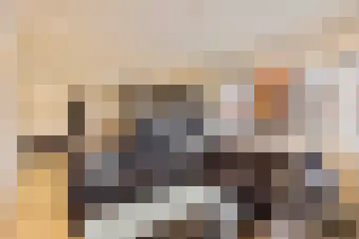 Ranonkelstraat 41 Eindhoven thumbnail 12