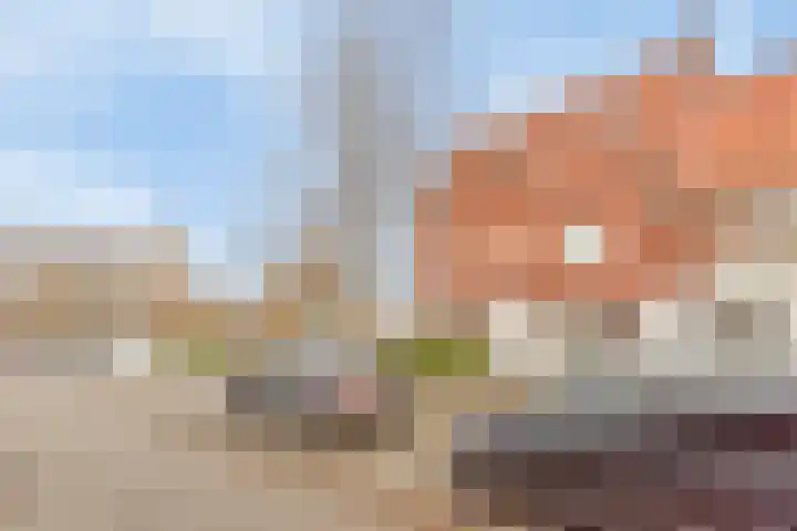Ranonkelstraat 41 Eindhoven thumbnail 4