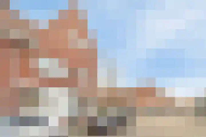 Ranonkelstraat 41 Eindhoven thumbnail 6