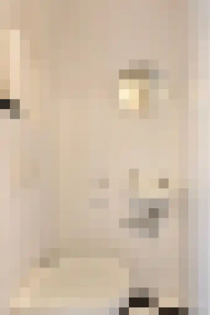 Ranonkelstraat 41 Eindhoven thumbnail 7