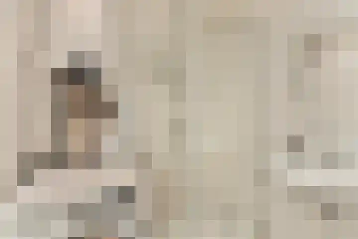 Ranonkelstraat 41 Eindhoven thumbnail 9