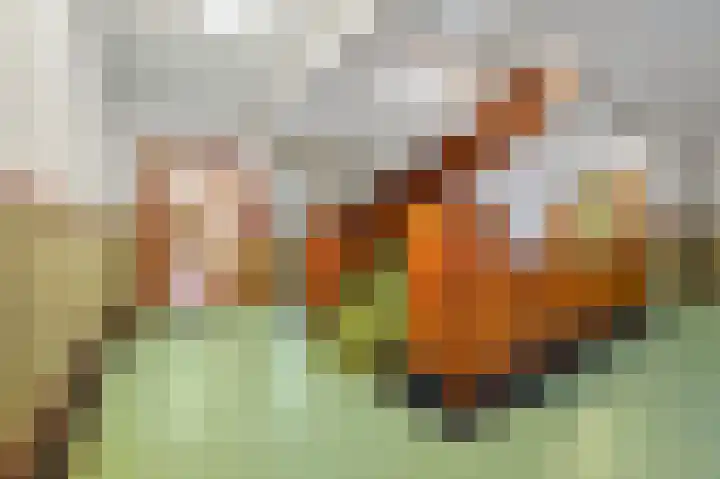 Ranonkelstraat 46 Breda thumbnail 30