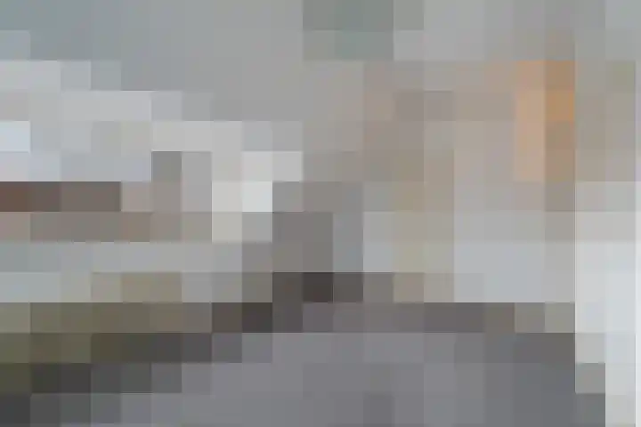 Ranonkelstraat 46 Breda thumbnail 31