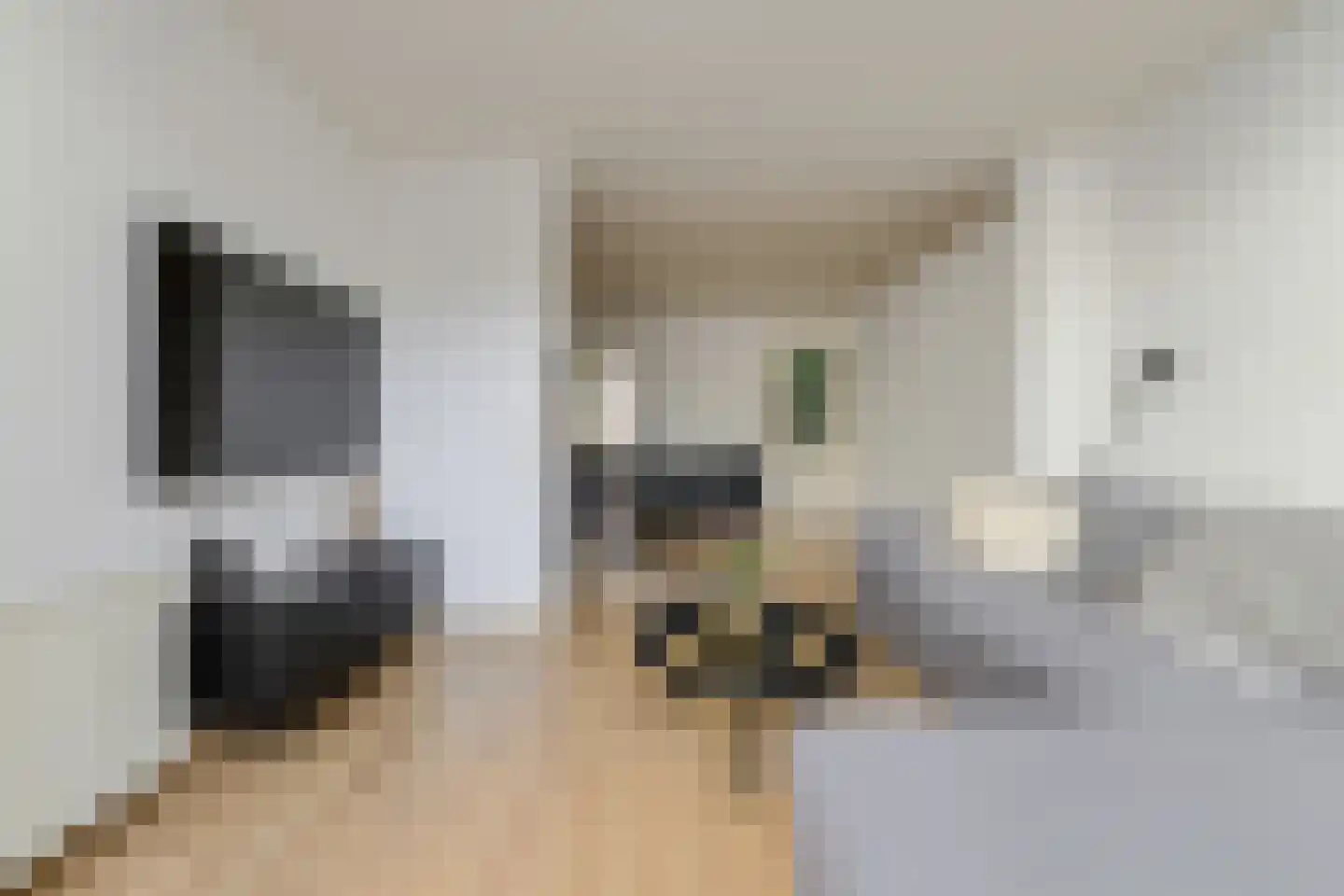 Ranonkelstraat 46 Breda thumbnail 6