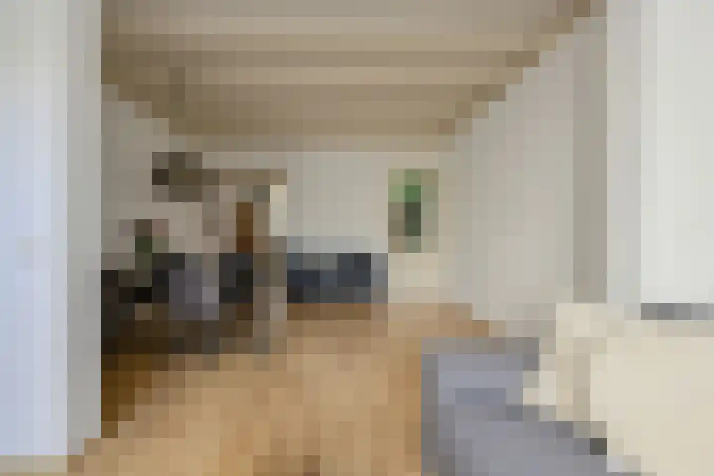 Ranonkelstraat 46 Breda thumbnail 7